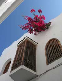 Morocco Spanish Exotic Walled Fez Souks